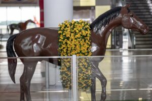 Airport attractions: horses, stars & free cards for moms