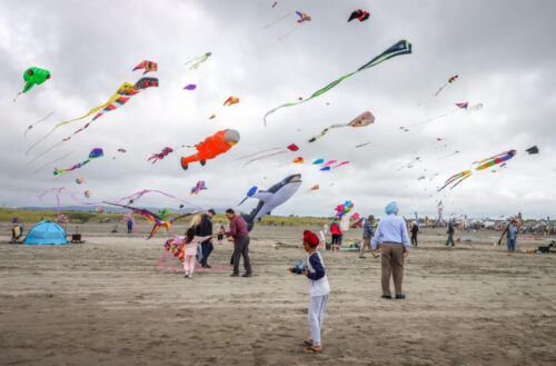 Here’s what the experts say about summer travel