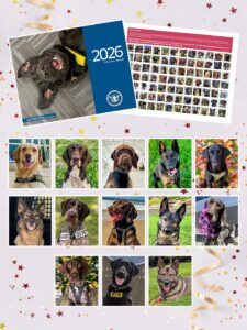 TSA’s downloadable 2026 Canine Calendar  
