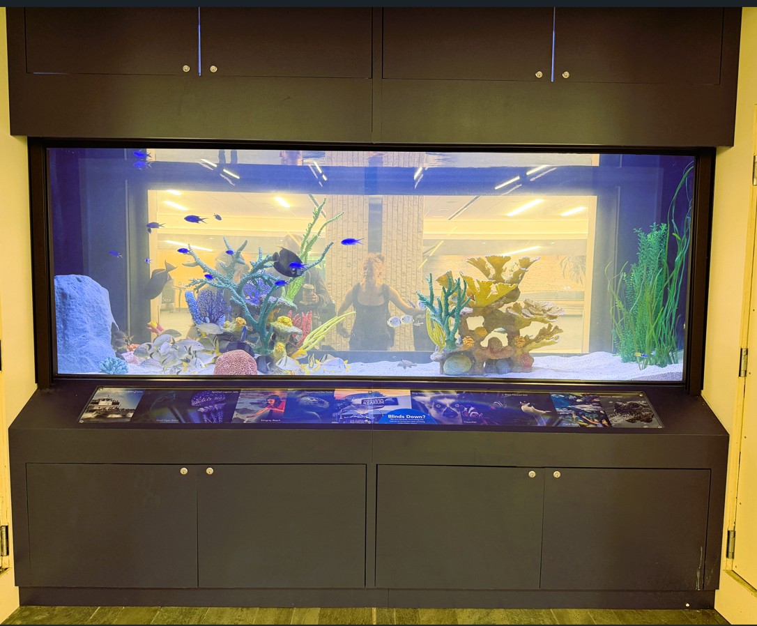 At TPA Airport, planes gotta fly, fish gotta swim