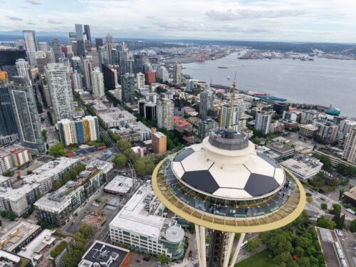 FIFA Soccer Ball Roof