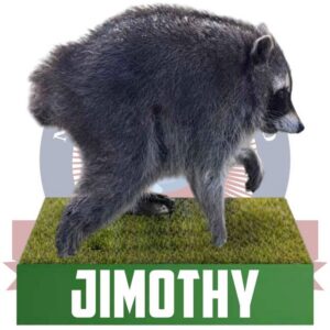 Jimothy is on the move + What’s up at Gatwick Airport?