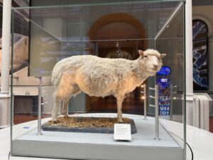 Where to see Dolly, the cloned sheep named for Dolly Parton